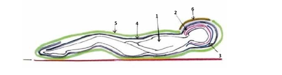 congruenze 12